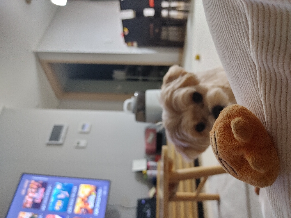 ㅎㅎ