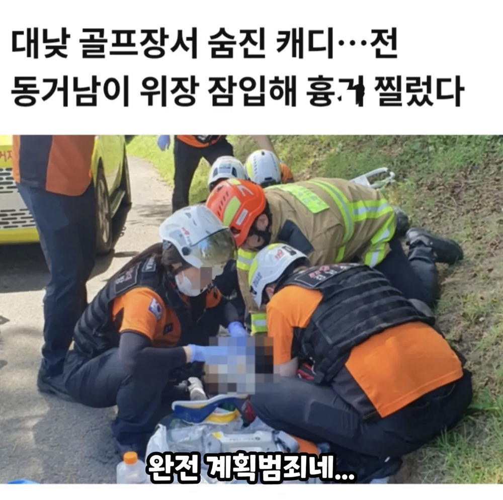 이거 보셨나요?